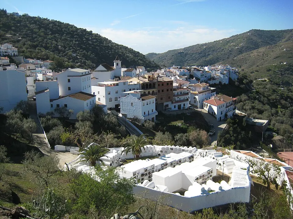 Sayalonga among loquat orchards.